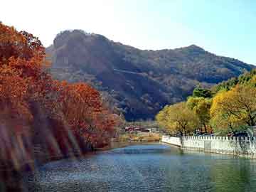 新澳天天开奖资料大全旅游团，黄牛交易市场